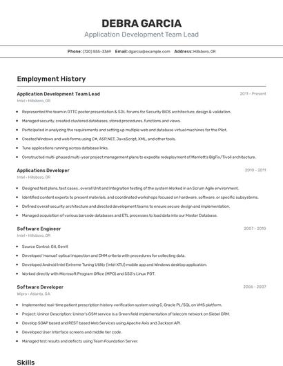 Application Development Team Lead Resume
