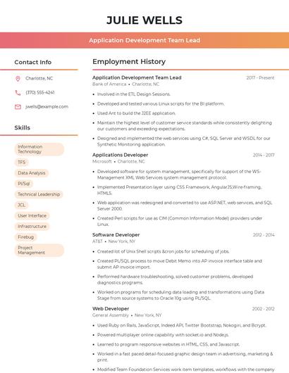 Application Development Team Lead Resume