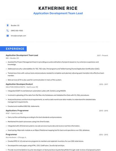 Application Development Team Lead Resume