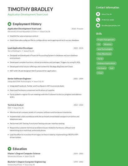 Application Development Team Lead Resume