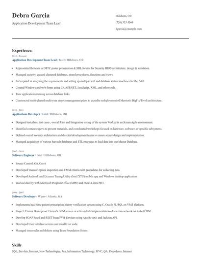 Application Development Team Lead Resume