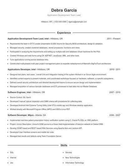 Application Development Team Lead Resume