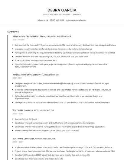 Application Development Team Lead Resume