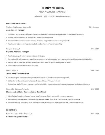Area Account Manager Resume