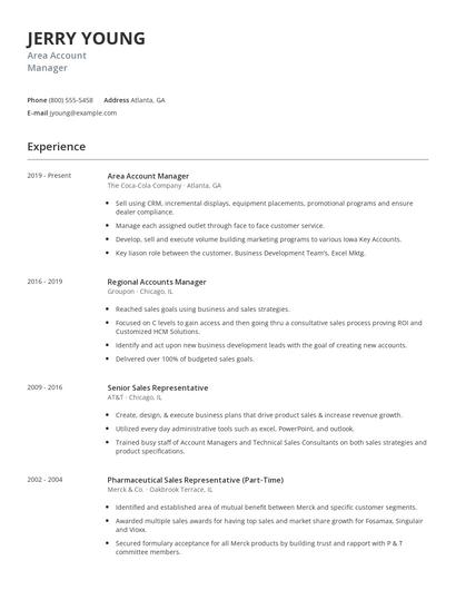 Area Account Manager Resume