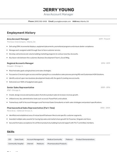 Area Account Manager Resume