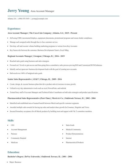 Area Account Manager Resume