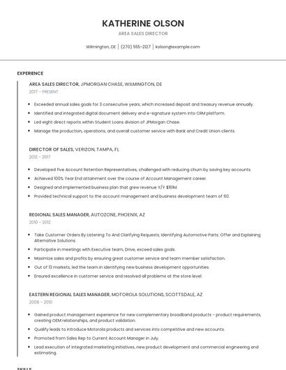 Area Sales Director Resume