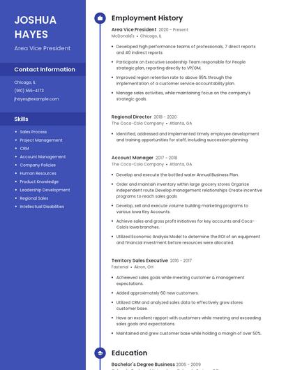Area Vice President Resume