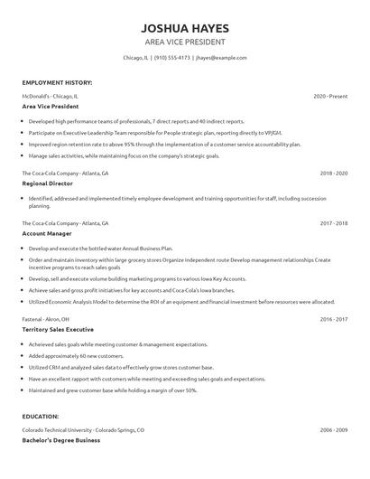 Area Vice President Resume