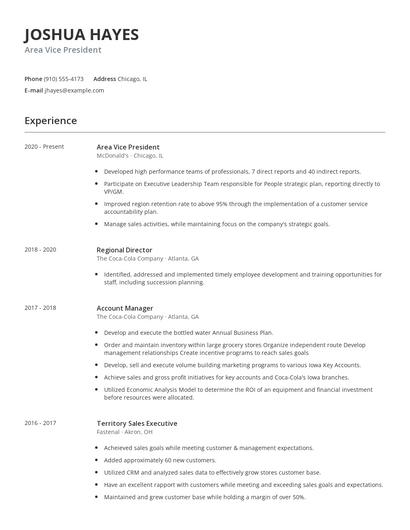 Area Vice President Resume