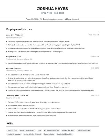 Area Vice President Resume