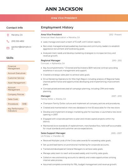 Area Vice President Resume
