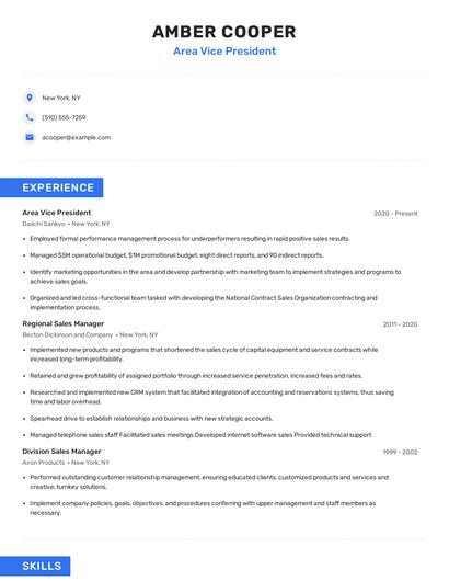 Area Vice President Resume