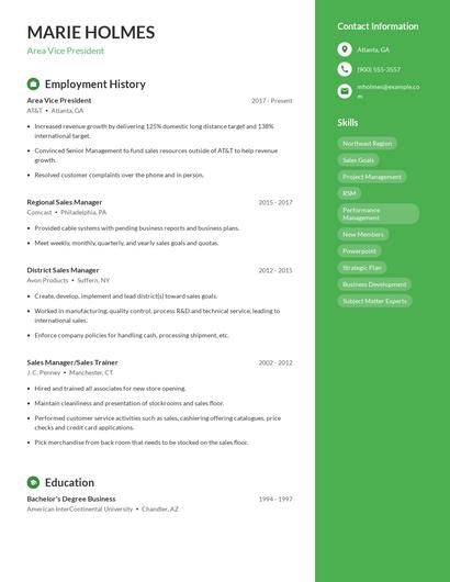 Area Vice President Resume