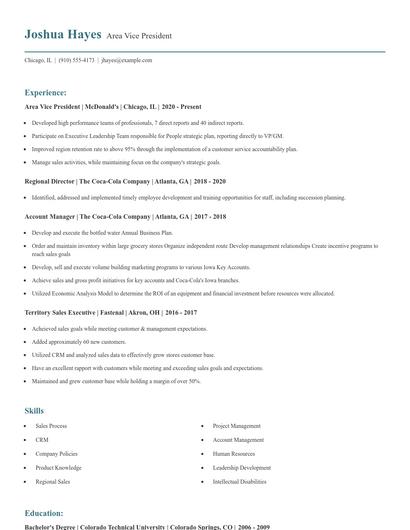 Area Vice President Resume