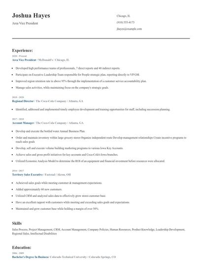 Area Vice President Resume
