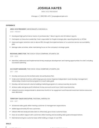 Area Vice President Resume