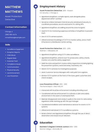 Asset Protection Detective Resume