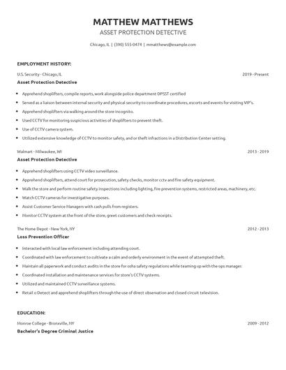 Asset Protection Detective Resume
