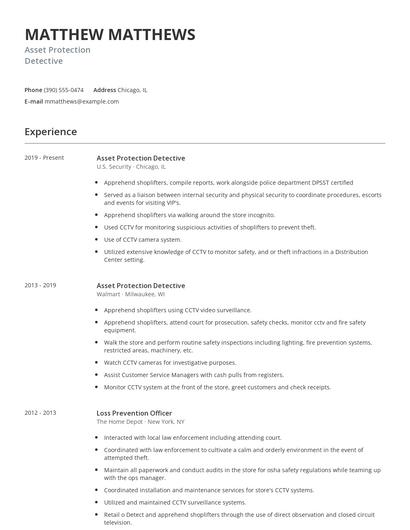 Asset Protection Detective Resume