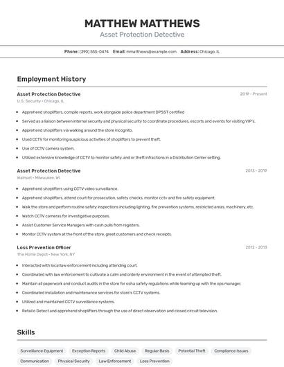 Asset Protection Detective Resume