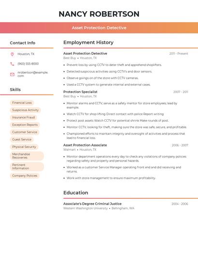 Asset Protection Detective Resume