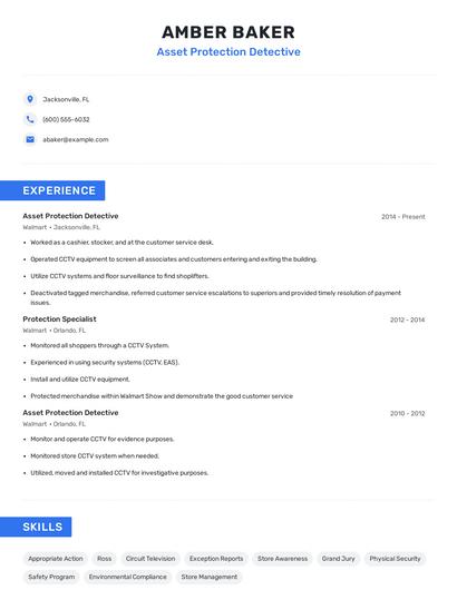 Asset Protection Detective Resume