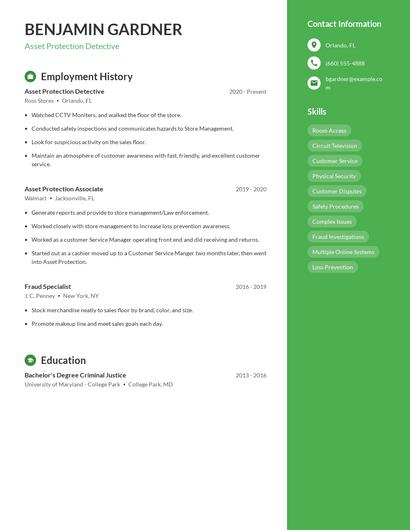 Asset Protection Detective Resume