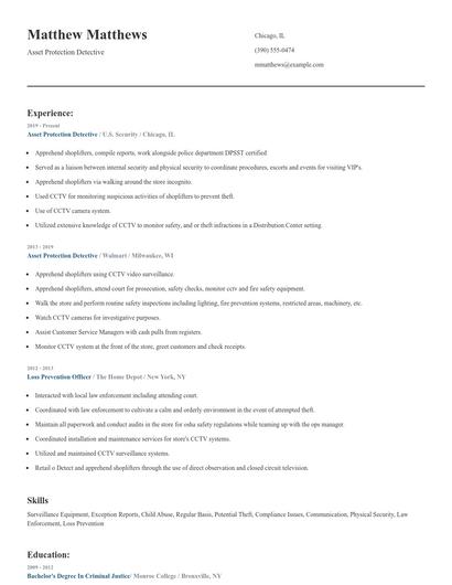 Asset Protection Detective Resume