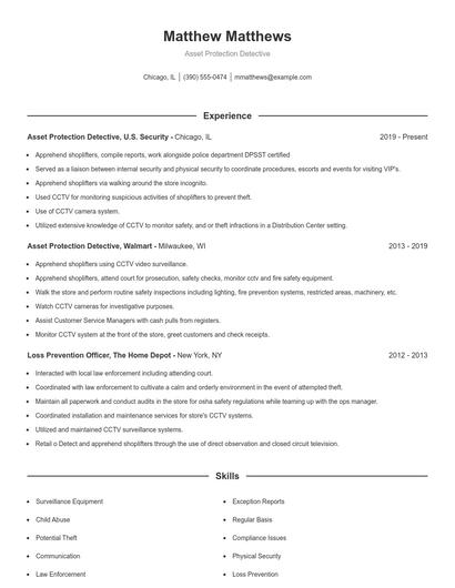 Asset Protection Detective Resume