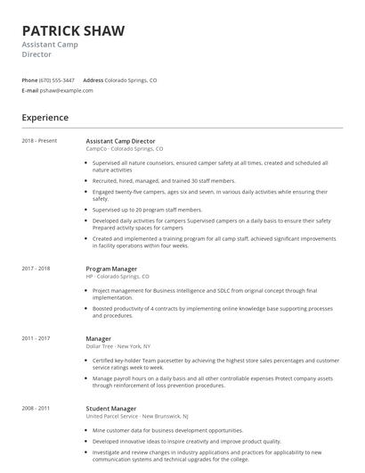 Assistant Camp Director Resume