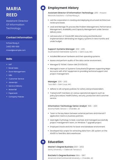 Assistant Director Of Information Technology Resume