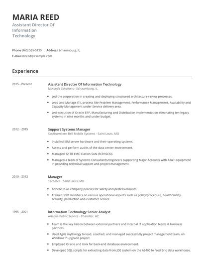 Assistant Director Of Information Technology Resume