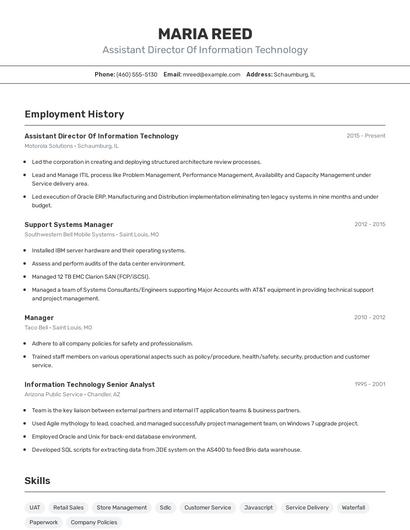 Assistant Director Of Information Technology Resume