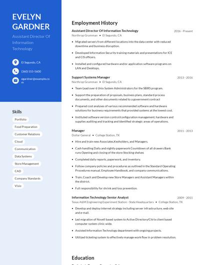 Assistant Director Of Information Technology Resume