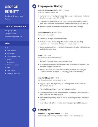 Assistant Manager, Sales Resume