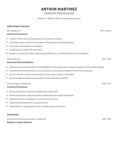 Assistant Programmer Resume