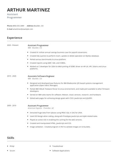 Assistant Programmer Resume