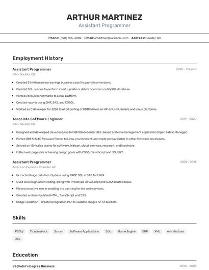 Assistant Programmer Resume