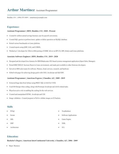 Assistant Programmer Resume