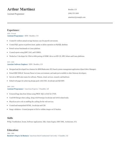 Assistant Programmer Resume