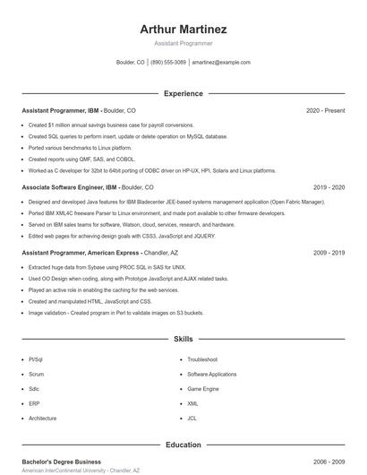 Assistant Programmer Resume