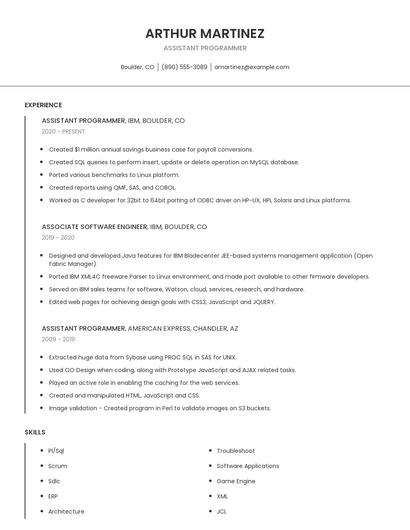 Assistant Programmer Resume