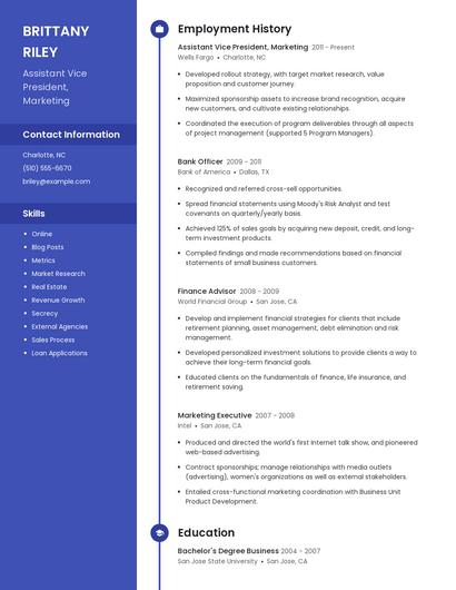 Assistant Vice President, Marketing Resume