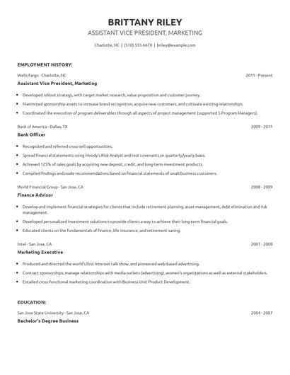 Assistant Vice President, Marketing Resume