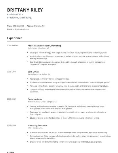 Assistant Vice President, Marketing Resume