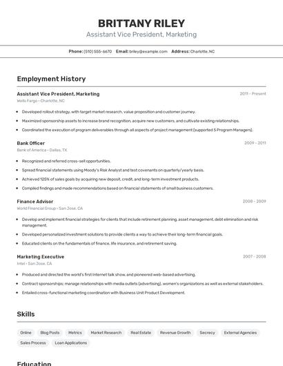 Assistant Vice President, Marketing Resume