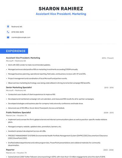 Assistant Vice President, Marketing Resume