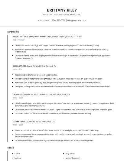 Assistant Vice President, Marketing Resume
